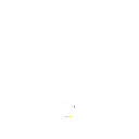 78g